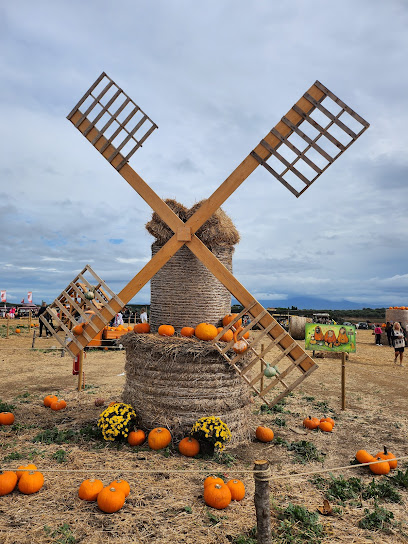 Imagen de Fattoria della Zucca situado en Borgo Pineto I, Città metropolitana di Roma Capitale