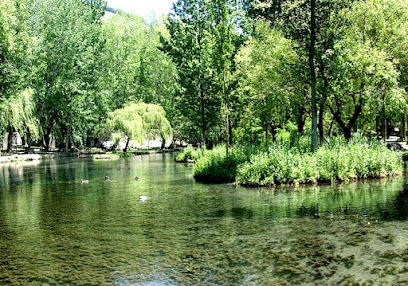 Imagen de Fiume Clitunno situado en Campello Sul Clitunno, Provincia di Perugia