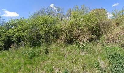 Imagen de Foresta del Gengone situado en Sassofeltrio, Provincia di Rimini