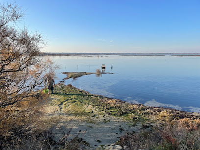 Imagen de Ormeggio della Baiona situado en Marina Romea, Provincia di Ravenna