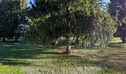 Imagen de Parco Avventura Eco-Dinamico situado en Tavagnacco, Ente di decentramento regionale di Udine
