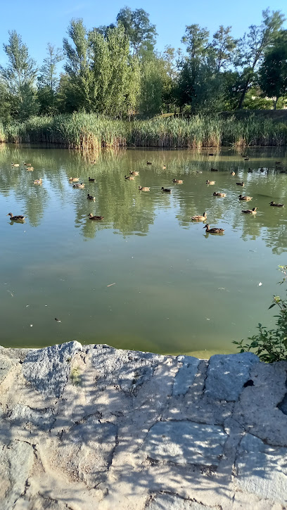 Imagen de Parco Comunale di via Mascagni situado en Lurate Caccivio, Provincia di Como