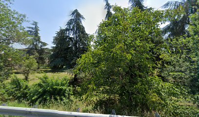 Imagen de Parco situado en Niviano, Provincia di Piacenza