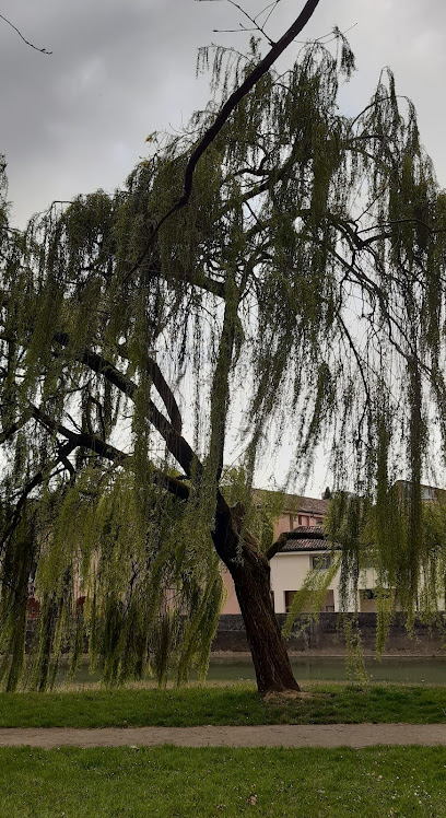 Imagen de Parco situado en Pieve di Soligo, Provincia di Treviso