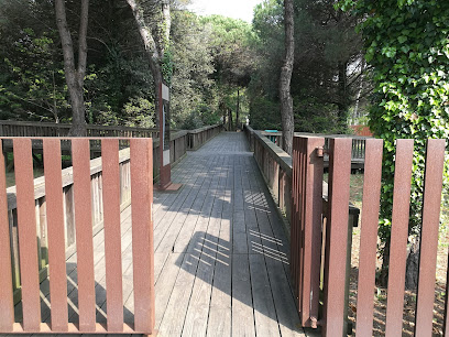 Imagen de Parco Pineta situado en Jesolo, Città Metropolitana di Venezia