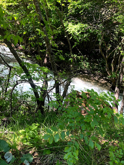 Imagen de Parco Pubblico situado en Cunevo, Provincia autonoma di Trento
