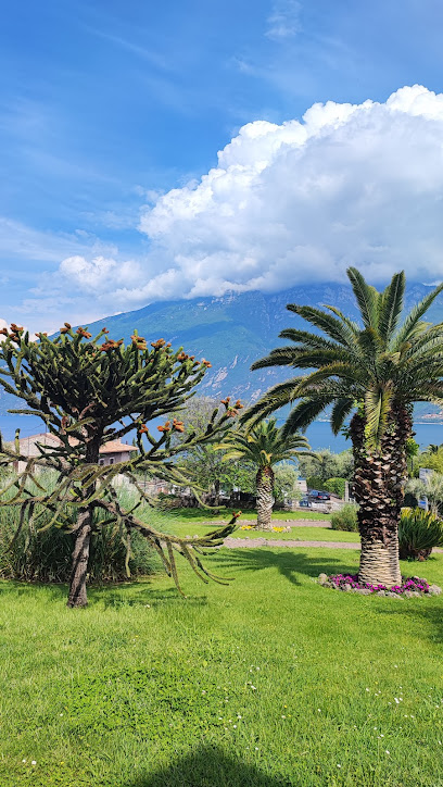 Imagen de Parco antistante il comune situado en Limone sul Garda, Provincia di Brescia