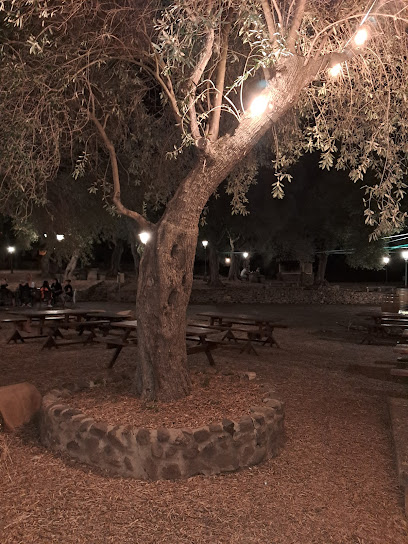 Imagen de Parco comunale San Leonardo situado en Perdaxius, Provincia del Sud Sardegna