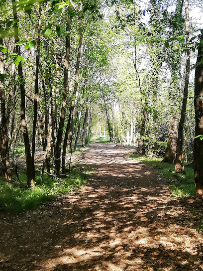 Imagen de Parco dei Mughetti situado en Origgio, Provincia di Varese