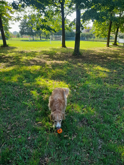 Imagen de Parco del Cerchio situado en Cavriago, Provincia di Reggio Emilia