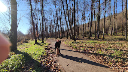 Imagen de Parco dell'Ontanese situado en Lariano, Città metropolitana di Roma Capitale