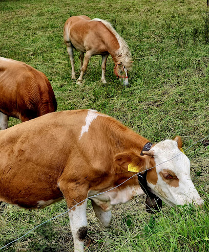 Imagen de Parco della Valle del Lujo situado en Vall'alta, Provincia di Bergamo