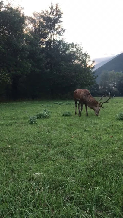 Imagen de Parco pubblico situado en Seconda Zona P.e.e.p., Provincia di Teramo