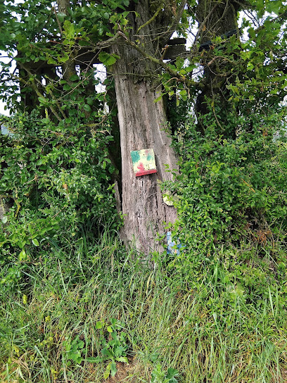 Imagen de Sentiero degli gnomi situado en Castelletto Monferrato, Provincia di Alessandria