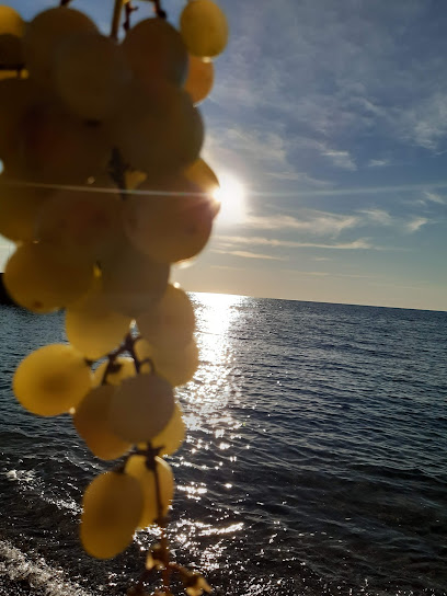 Imagen de Spiaggia di Belvedere situado en Belvedere Marittimo, Provincia di Cosenza