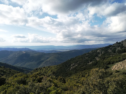 Imagen de foresta di Monte Lerno situado en Pattada, Provincia di Sassari